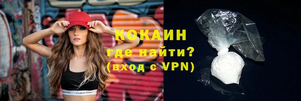 СК Каменногорск
