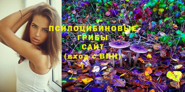 СК Каменногорск