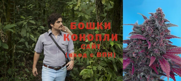 СК Каменногорск