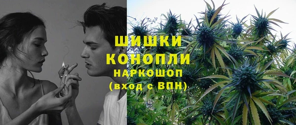 СК Каменногорск