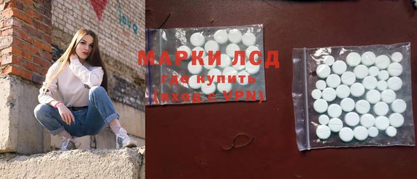 СК Каменногорск